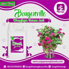parfum laundry bougenville